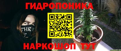 ГАЛЛЮЦИНОГЕННЫЕ ГРИБЫ Будённовск