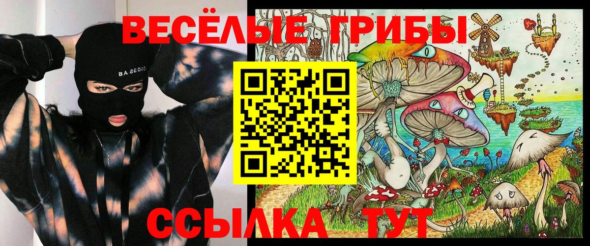 Псилоцибиновые грибы мицелий Нижний Тагил